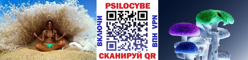 Купить закладки  Заводоуковск  Галлюциногенные грибы прущие грибы 