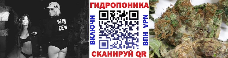 Купить где  Заводоуковск  Канабис MAZAR 
